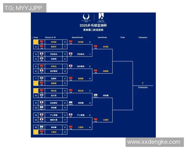 杭州排球队在大满贯赛中的实力展现与战术分析