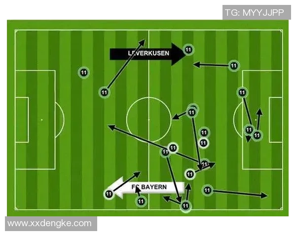 深圳羽毛球队战术表现数据分析与优化策略探讨