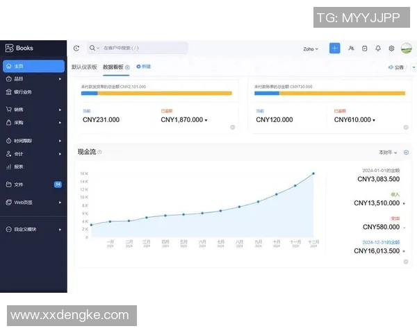 武汉极限运动队的区域防守策略与挑战深度解析