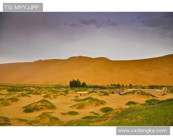 足球探员揭秘转会内幕与球员职业生涯的秘密与挑战